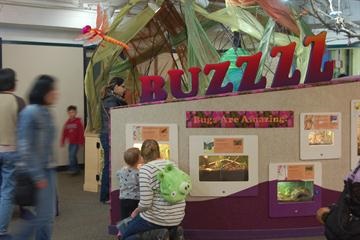 Buzzzz exhibit entrance wall